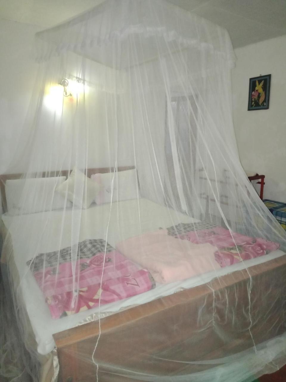 Damsen Homestay Ella Extérieur photo