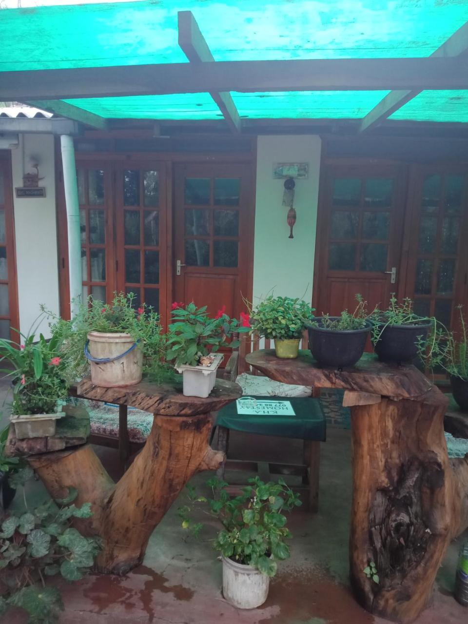Damsen Homestay Ella Extérieur photo